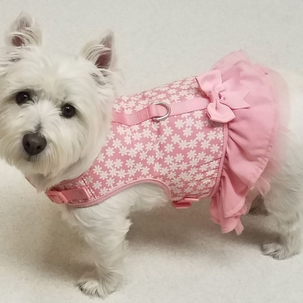 Harness with matching leash